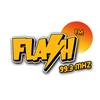 undefined Flash FM 99.3 Mhz