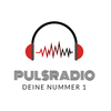 undefined pulsradio