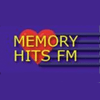 undefined Memoryhits FM