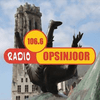 undefined Radio Opsinjoor