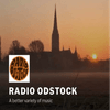 undefined Radio Odstock