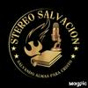 undefined stereo salvacion