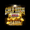 undefined WMVA The GoldRush