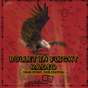 Radio Bullet In Flight Radio