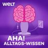 undefined Aha! Zehn Minuten Alltags-Wissen