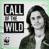 undefined Call Of The Wild