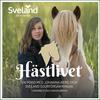 undefined Hästlivet