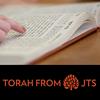 undefined JTS Torah Commentary