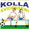 undefined Kolla svensken!