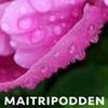 undefined Maitripodden – Viryabodhi