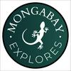 undefined Mongabay Explores