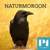 undefined Naturmorgon