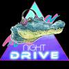 undefined Nightdrive