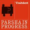 undefined Parsha in Progress