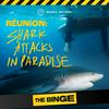 undefined Shark Attacks in Paradise