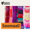 undefined SBS Somali - SBS Afsomali