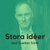 undefined Stora idéer med Sverker Sörlin