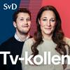 undefined SvD Tv-kollen