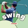 undefined swing