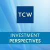 undefined TCW Investment Perspectives