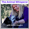 undefined The Animal Whisperer with Suzan Vaughn: Animal Communication Stories