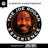 undefined The Joe Rogan Experience