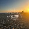 undefined Awakening Process 101