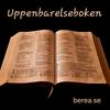 undefined Uppenbarelseboken