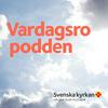 undefined vardagsro-podden