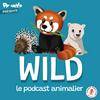 undefined Wild, le podcast animalier