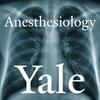 undefined Yale Anesthesiology