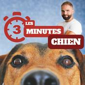 Podcast 3 minutes chiens