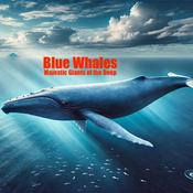 Podcast Blue Whales