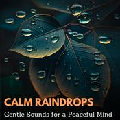 Podcast Calm Raindrops