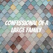 Podcast Confessional of a Large Family