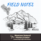 Podcast Field Notes