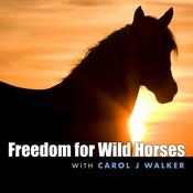 Podcast Freedom for Wild Horses