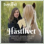 Podcast Hästlivet