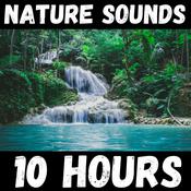 Podcast Nature Sounds - 10 Hours