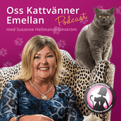 Podcast Oss Kattvänner Emellan