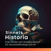 Podcast Sinnets Historia