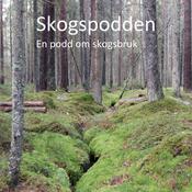 Podcast Skogspodden