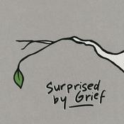 Podcast Surprised by Grief