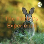 Podcast The Rabbit's Experience