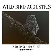 Podcast Wild Bird Acoustics