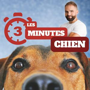 Lyssna på 3 minutes chiens i appen