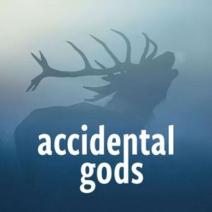 Lyssna på Accidental Gods i appen