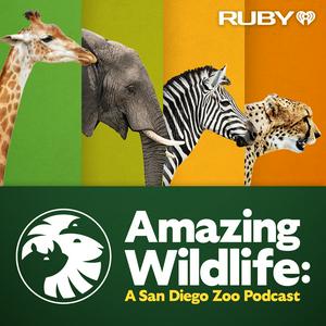 Lyssna på Amazing Wildlife: A San Diego Zoo Podcast i appen