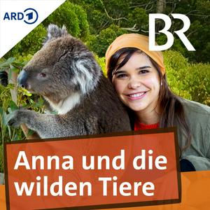 Lyssna på Anna und die wilden Tiere i appen