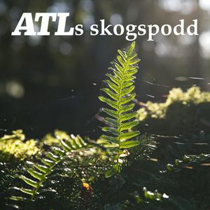 Lyssna på ATLs skogspodd i appen